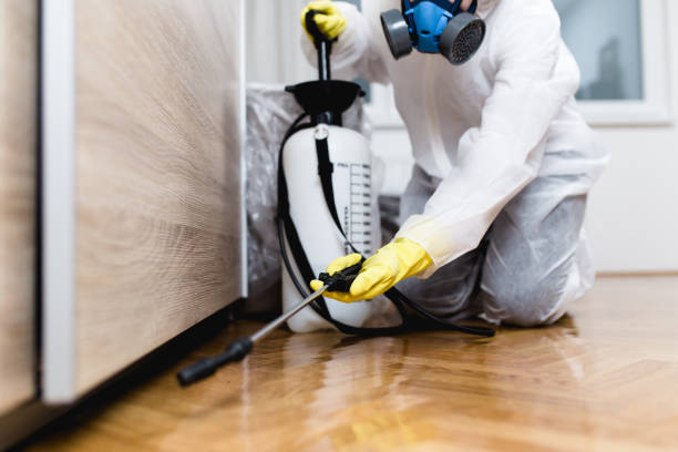 Best Residential Pest Control  in Jacksonville Beach, FL