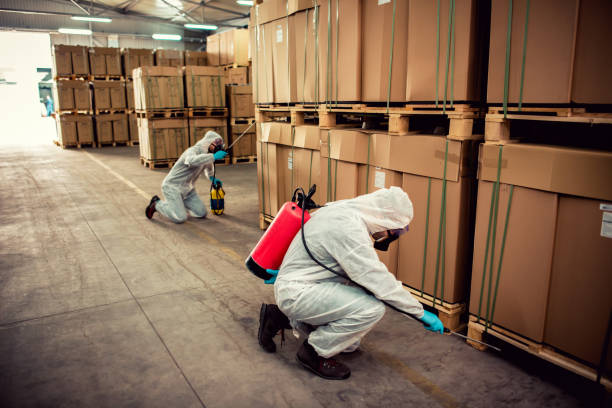 Best Best Pest Control Companies  in Jacksonville Beach, FL