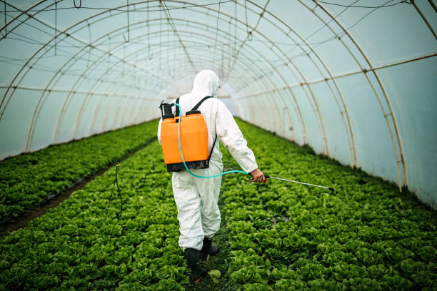 Best Pest Inspection Near Me  in Jacksonville Beach, FL