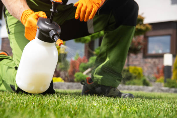 Best Commercial Pest Control Services  in Jacksonville Beach, FL