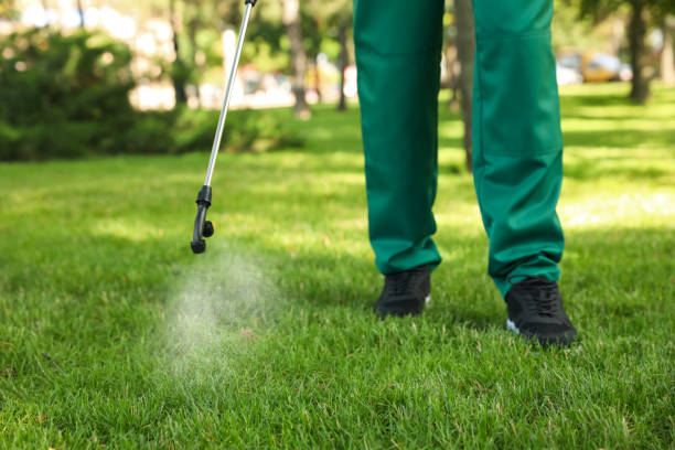 Best Bed Bug Extermination  in Jacksonville Beach, FL
